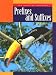 Book Prefixes And Suffixes (The Magic of Language)