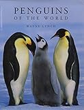 Penguins of the world