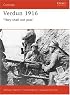 Verdun 1916: 'They Shall Not Pass' (Campaign)