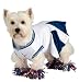 Deluxe Cheerleader Pet Costume, Small