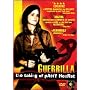 Guerrilla: The Taking Of Patty Hearst [DVD]