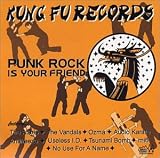 Punk Rock Is Your Friend