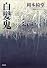 白髪鬼 新装版 (光文社文庫)