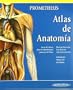 Atlas de anatomia/ Atlas of Anatomy: Prometheus (Spanish Edition)