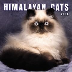 Himalayan Cats 2004 Calendar