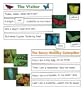Scholastic Interactive Pocket Charts: Butterflies (Grades PreK-8)