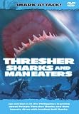 Shark Attack - The Thresher Sharks And Man Eaters