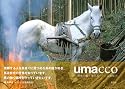 umacco―最後の働く馬たち