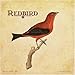 Redbird