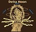 Delta Moon Cool Your Jets