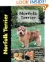 Norfolk Terrier (Dog Breeds)