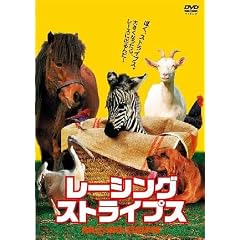 ���[�V���O�E�X�g���C�v�X