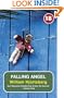 Falling Angel (No Exit Press 18 Years Classic)