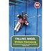 Falling Angel (No Exit Press 18 Years Classic)