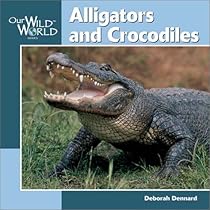 Alligators & Crocodiles (Our Wild World) Alligators & Crocodiles (Our Wild World)
