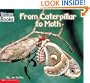 From Caterpillar to Moth (How Things Grow)