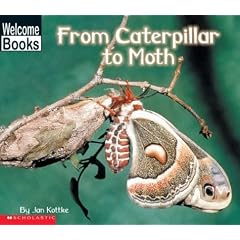 How Things Grow: From Caterpillar to Moth