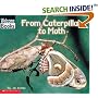 From Caterpillar to Moth (How Things Grow)