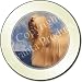 LHASA APSO DOG Tax Disc Holder