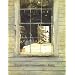 Two Worlds of Andrew Wyeth:Kuerners and Olsons