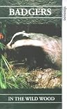 Review Artsmagic  / Badgers - In The Wild Wood