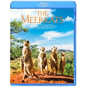 【クリックで詳細表示】ミーアキャット [Blu-ray]