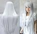 Taobaopit Long Cosplay Party Silver White Mixed Straight Wig 100cm