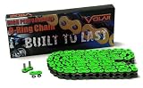 Kawasaki Ninja ZZR600 ZX600 03-04 O-Ring Chain - Green