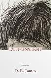 Lost Enough