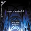 Sound of a Cathedral - Gregorianischer Gesang und Saxophon-Improvisationen (Live-Aufnahme aus dem Dom zu Worms)