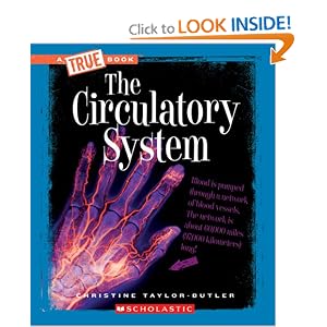 circulatory system test