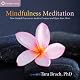 Mindfulness Meditation: Nine Guided Practices to Awaken Presence and Open Your Heart