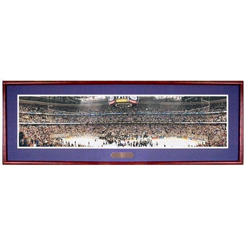 Everlasting Images Tampa Bay Lightning 2004 Stanley Cup Champions Deluxe Framed Panoramic