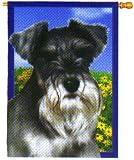 Wendell The Schnauzer