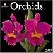 Orchids - Smithsonian 2009 Wall Calendar