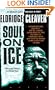 Soul On Ice