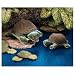 Folkmanis Baby Turtle Puppet 10 Inches