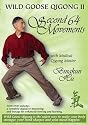 Wild Goose Qigong 2: Second 64 Movements