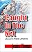 Caught in the Net (Alex Peres Mysteries)