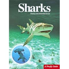 Sharks