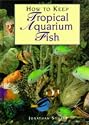 How to Keep Tropical Aquarium Fish