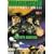 Roughnecks - Starship Troopers Chronicles - Vol. 1 - The Pluto Campaign [DVD] [1999]