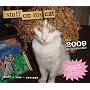 Stuff on My Cat (Daily Calendar)