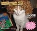 Stuff on My Cat 2009 Daily Calendar