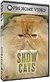 The Standard of Perfection: Show Cats