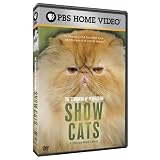 The Standard of Perfection: Show Cats