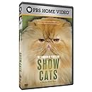The Standard of Perfection: Show Cats