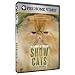 The Standard of Perfection: Show Cats