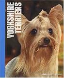 Yorkshire Terriers