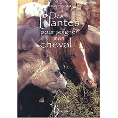 Des plantes pour soigner mon cheval